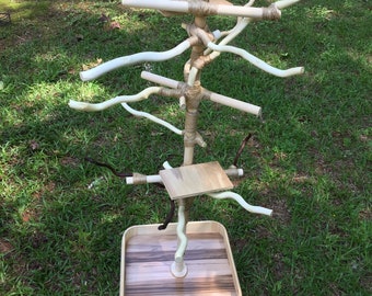 Parrot Stand with Shelves, Organic, Chemical-free Wood, Portable 2ft