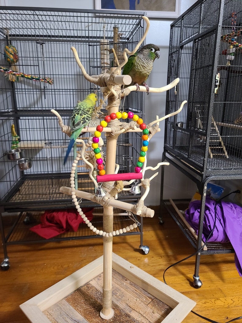 Parrot Perch Playstand Portable Natural Untreated Wood Etsy