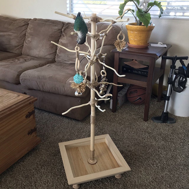 Parrot Perch Playstand Portable Natural Untreated Wood Etsy