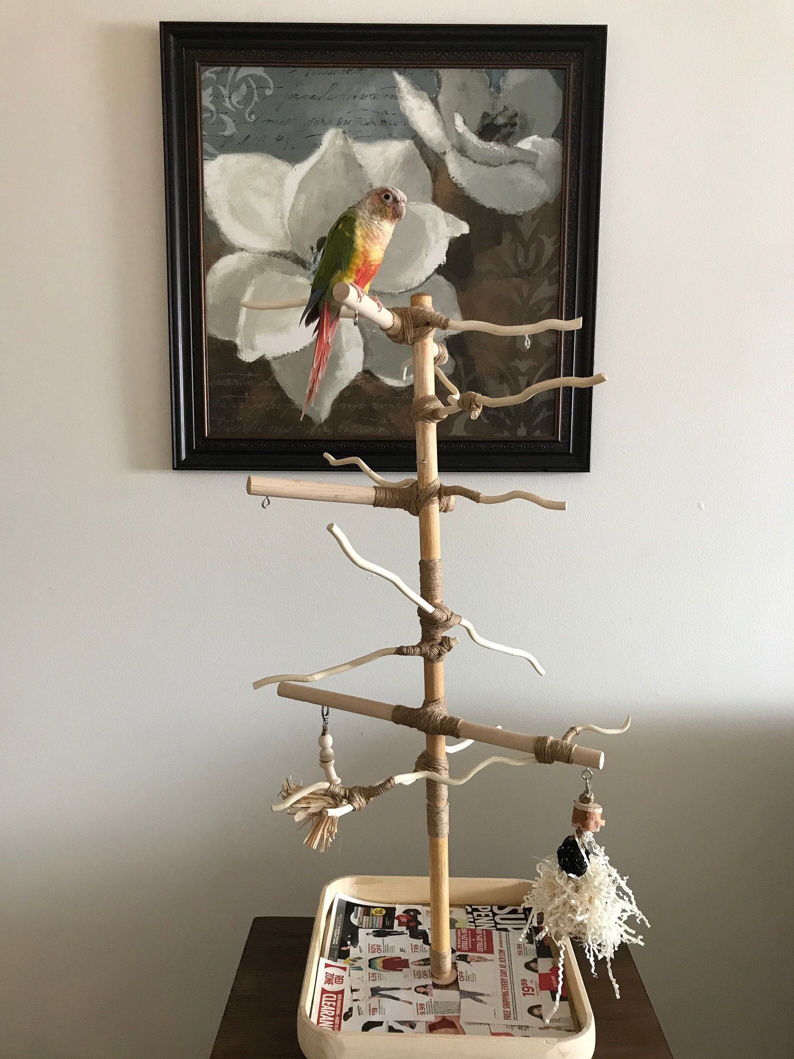 Parrot Perch Playstand Portable Natural Untreated Wood Etsy