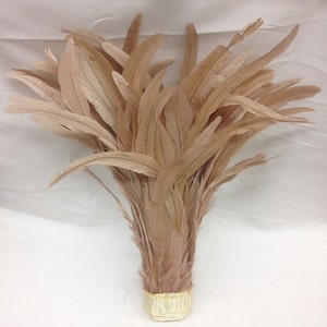 May include: A bundle of tan-colored feathers, likely for crafting or decoration. The feathers are long and slender, with a natural, textured appearance. The base of the bundle is wrapped with a light-colored, woven material.