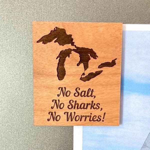 Lake Michigan No Salt No Sharks Etsy