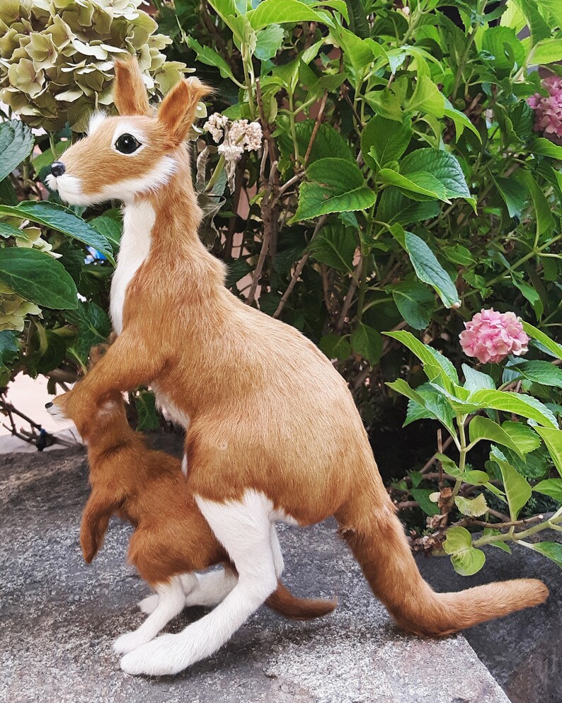 Kangaroo and Joey Taxidermy Mount Made With Goat Hair - Etsy