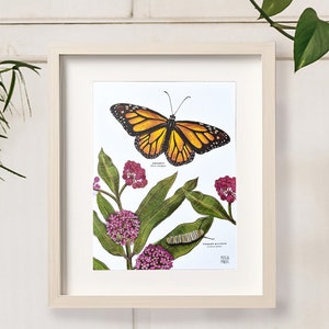 Monarch Butterfly and Milkweed Art Print, Botanical Illustration