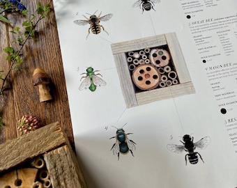 Solitary Bee Poster – 11x17 & A3 sizes, Digital Download, Educational, Pollinators, Native Bee, Bee Identification, Homeschool