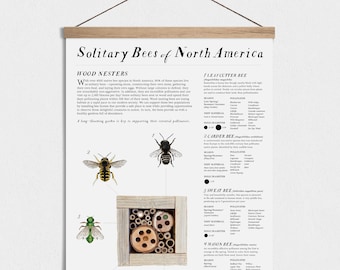 Solitary Bee Poster – 11x17 Poster, Art Print, Educational, Save the Bees, Bee Identification, Homeschool, Classroom, Nature Study, Guide