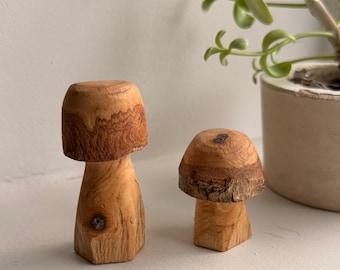 Hand Carved Miniature Wooden Mushroom Set, Rustic Woodland Decor