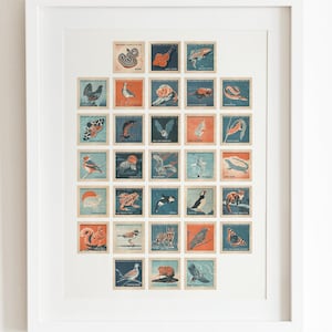 UK Endangered Species - Retro matchbox illustration montage by British artist Dario Fisher. Puffin, hare, dove , orca, wildcat, eagle, bird