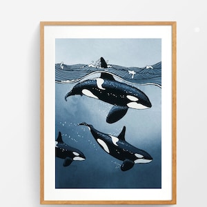 Orca pod print - illustrated art poster of killer whales in hand drawn watercolour style