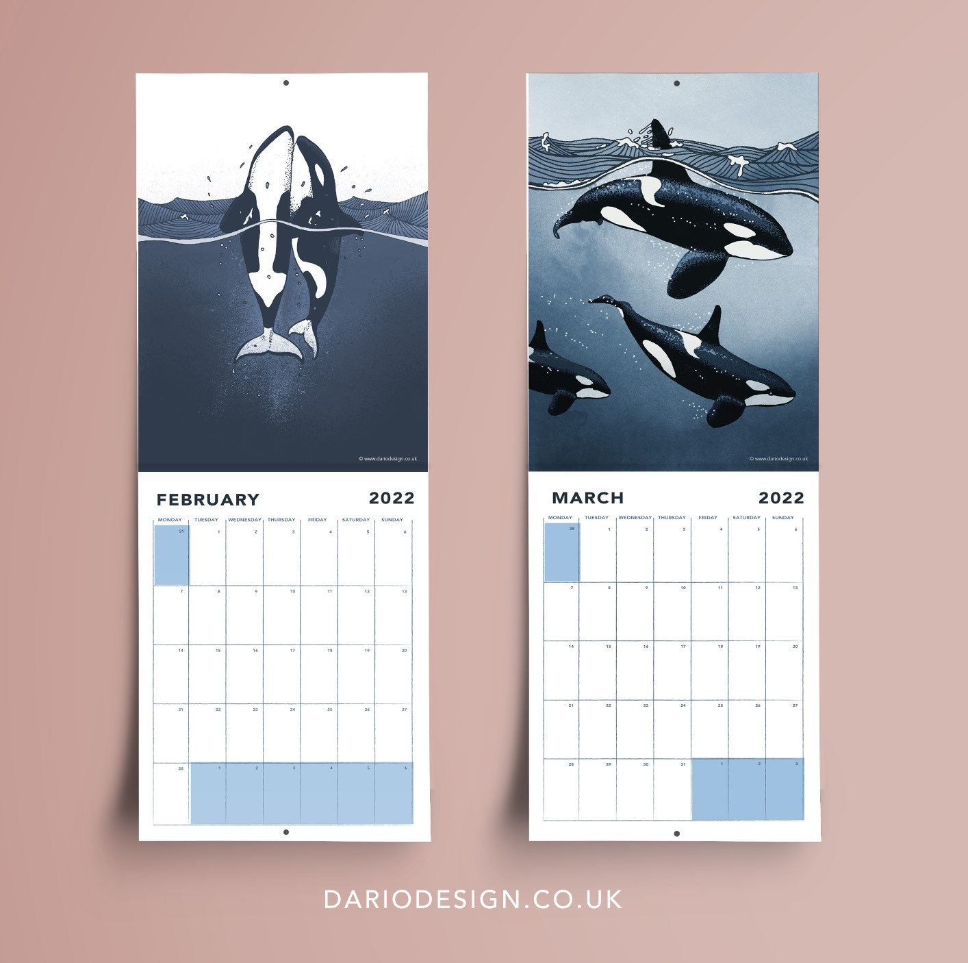 ORCAS 2022 Calendar featuring 12 original illustrations of Etsy