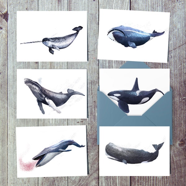 6 x Whale Greetings cards, multipack A6. UK Illustrated arctic/antarctic ocean art - humpback, narwhal, blue, sperm whale, bowhead, orca