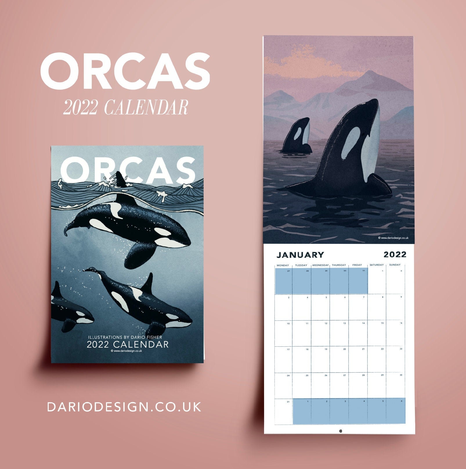 ORCAS 2022 Calendar featuring 12 original illustrations of Etsy