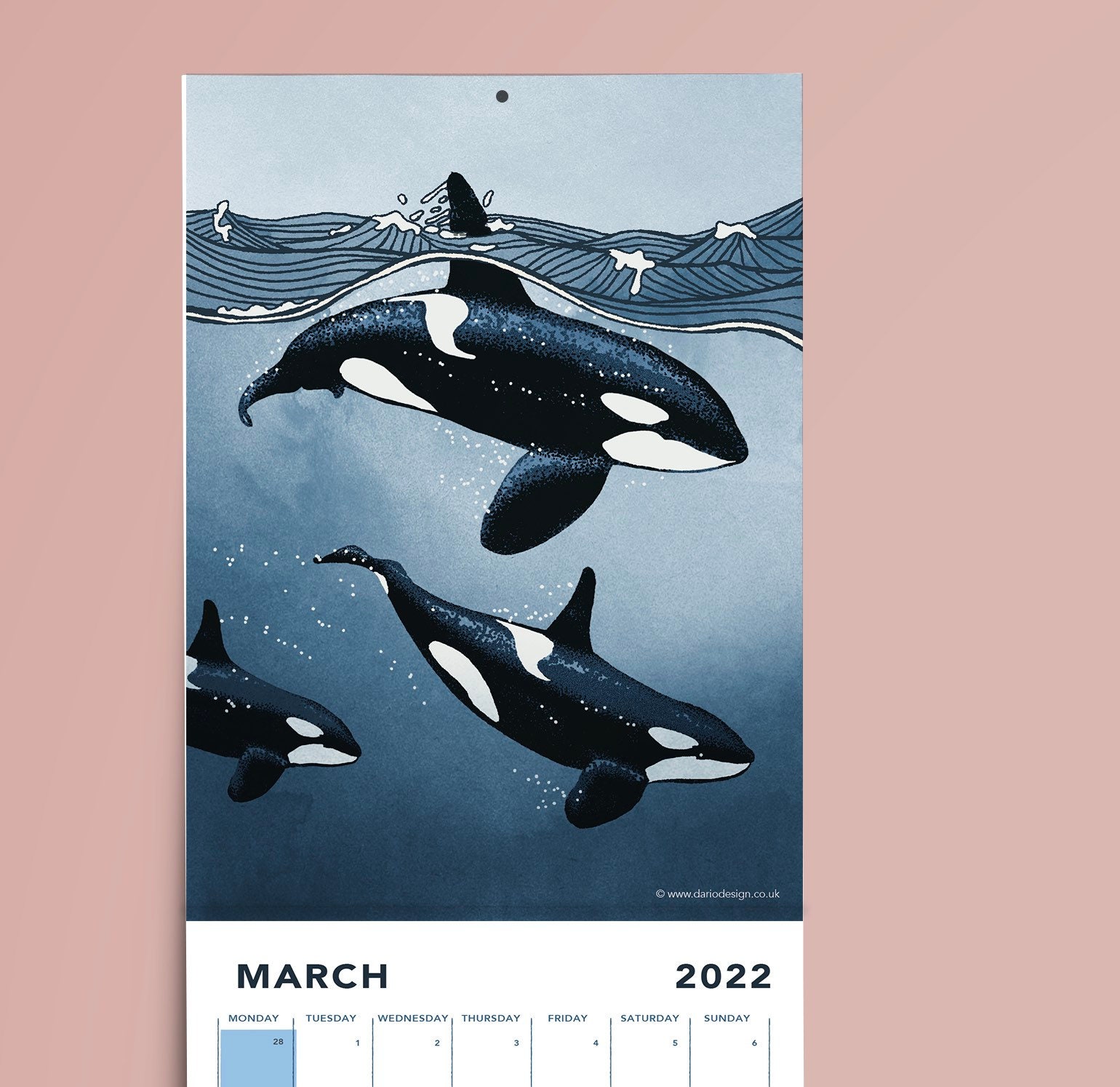 ORCAS 2022 Calendar featuring 12 original illustrations of Etsy