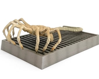 Alien Face Hugger [LOOSE] Konami SF Movie Selection Vol.1 Trading figure Japan
