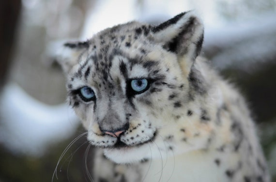 Leopard Des Neiges Jouet Realiste Faux Taxidermie Reproduction Etsy