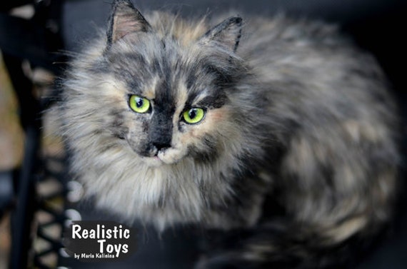 tortoiseshell cat teddy