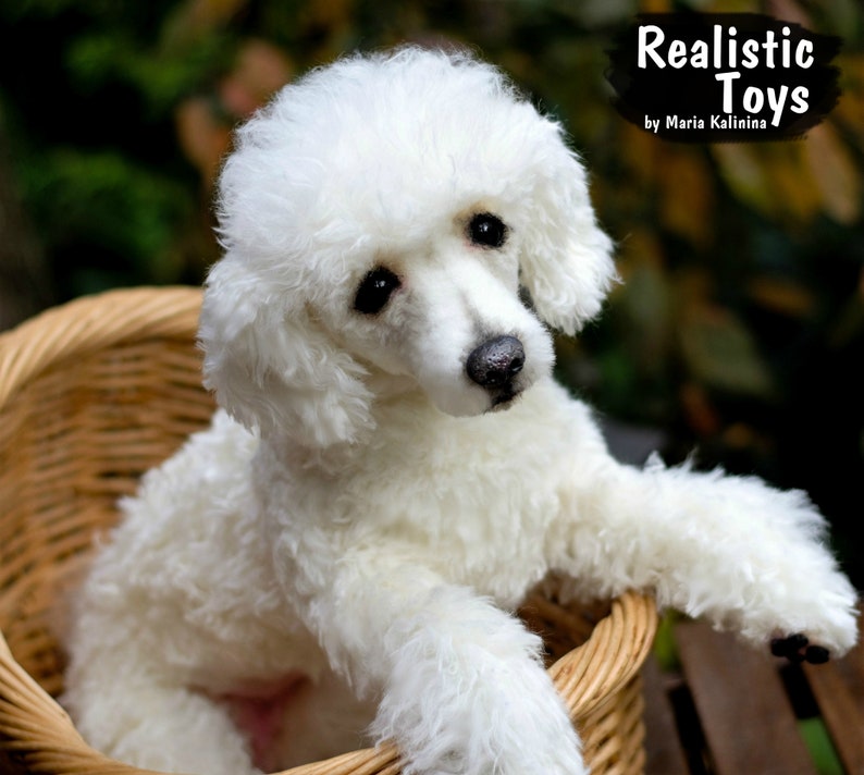 Tiffany Poodle Realistic plush toy natural lifesize Etsy