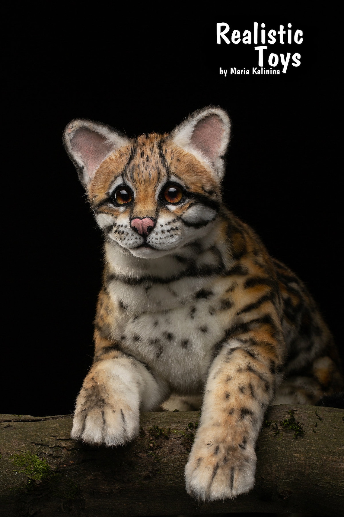 Margay wild catnamed babe Sugarland Realistic/Lifesize Etsy