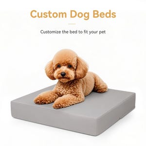 Puede incluir: Un caniche marrón claro descansa sobre una cama gris para perros. La cama es rectangular y parece estar hecha de un material liso. El texto en la parte superior dice "Custom Dog Beds" y "Customize the bed to fit your pet".