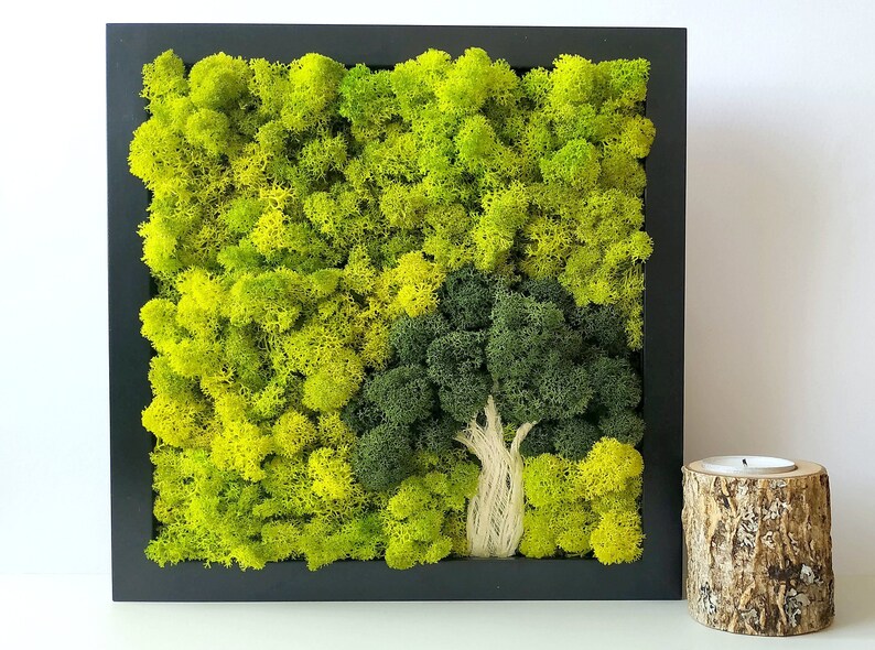 Scandinavian Moss Wall Art Tree of Moss Reindeer Moss Wall Etsy