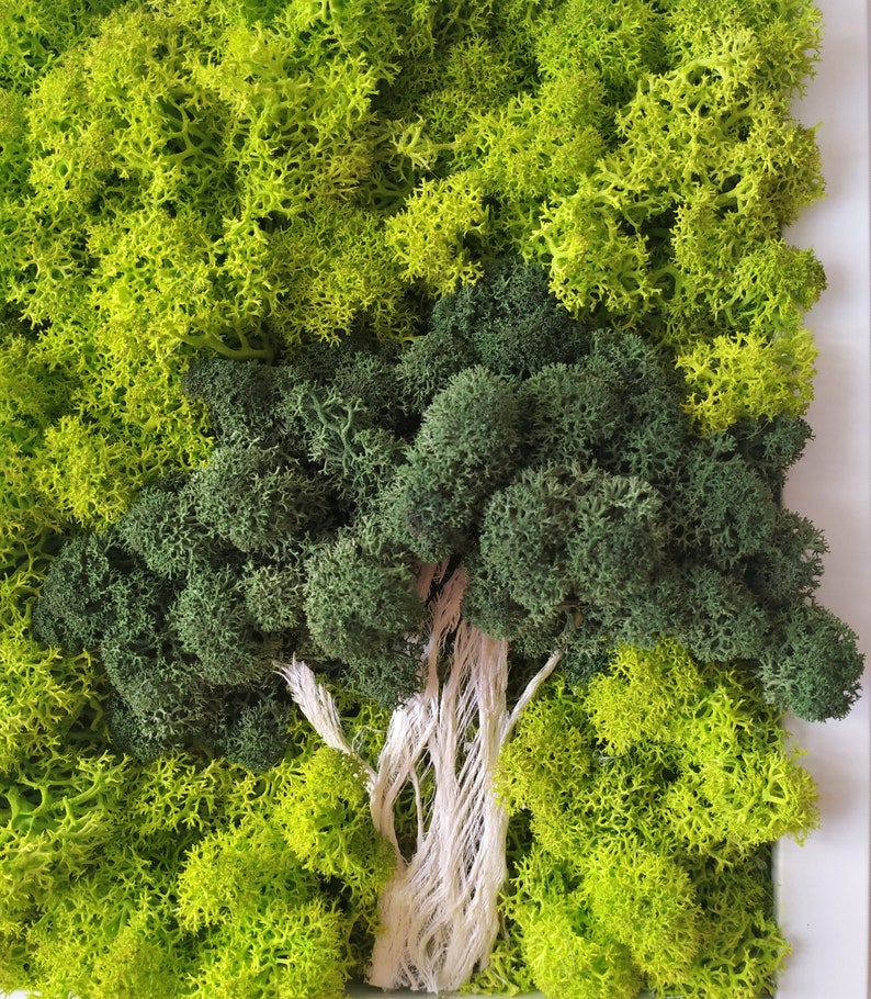 Scandinavian Moss Wall Art Tree of Moss Reindeer Moss Wall Etsy