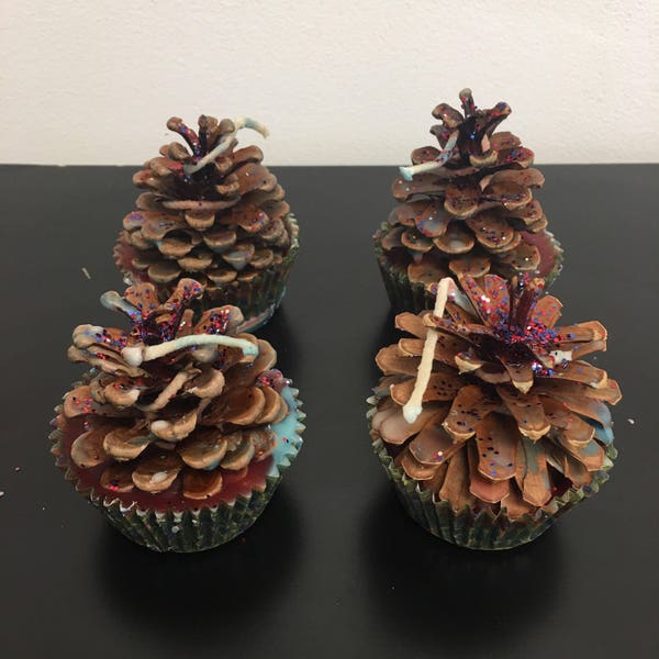 Pine-cone fire starters 4 pack