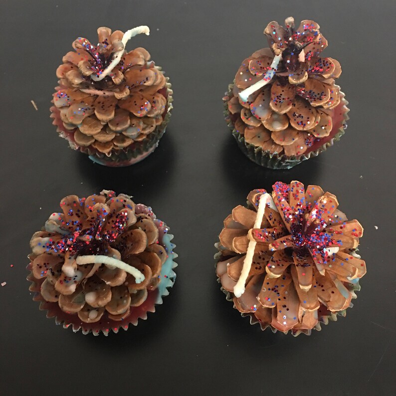 Pinecone Fire Starters 4 Pack Etsy