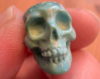 Adorable Turquoise Skull by Artifactual