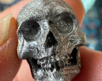 Small Detailed Gibeon Meteorite Skull #1 from Artifactual