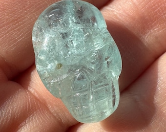 Aquamarine Igor De Souza Tiny Crystal Palm Skull