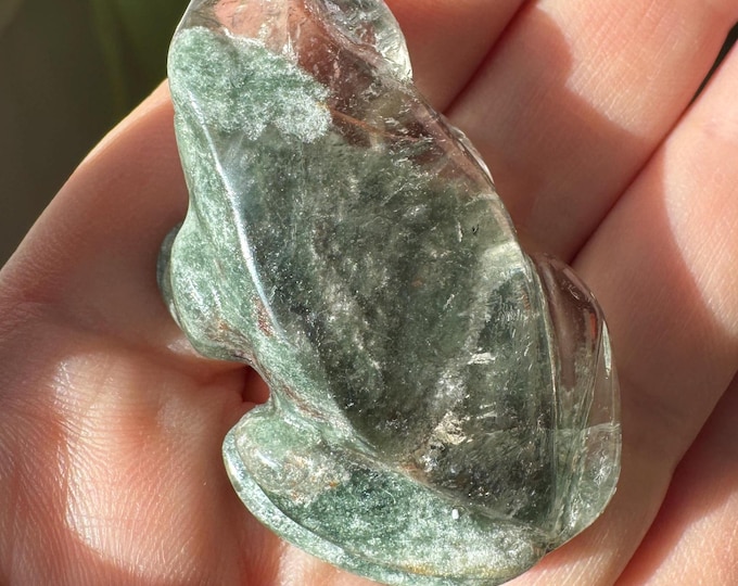 Sweet Lodolite Quartz Frog by Leandro De Souza