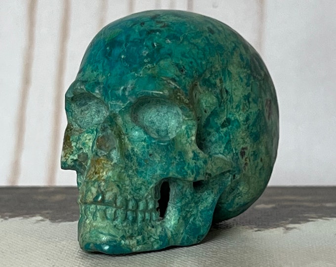 Handsome Chrysocolla  Skull from Artifactual