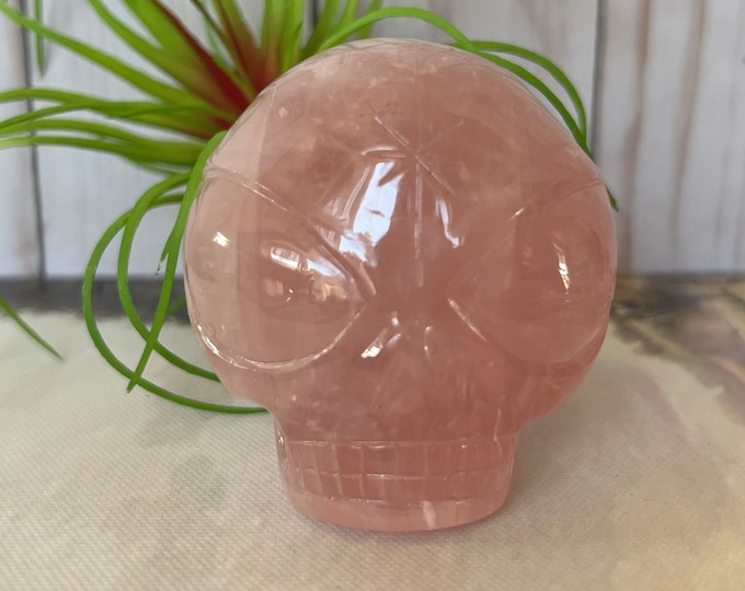 Sweet Rose Quartz Leandro De Souza Star Child Crystal Skull