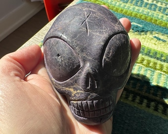 Leandro De Souza Purpurite Alien Palm Skull