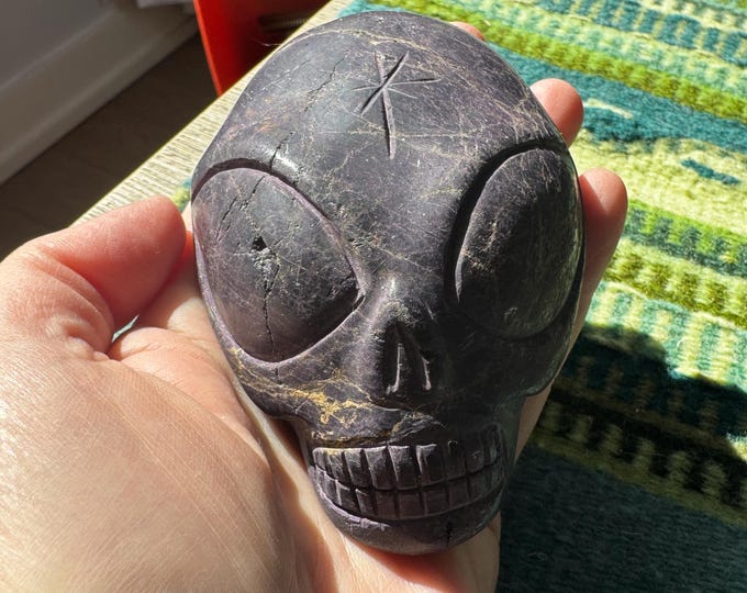 Leandro De Souza Purpurite Alien Palm Skull
