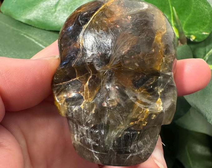 Leandro De Souza Kyanite Crystal Palm Skull