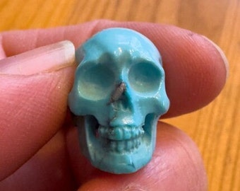 Sweet Turquoise Skull by Artifactual