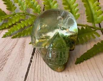 Amazing Garden Quartz Skull by Igor de Souza