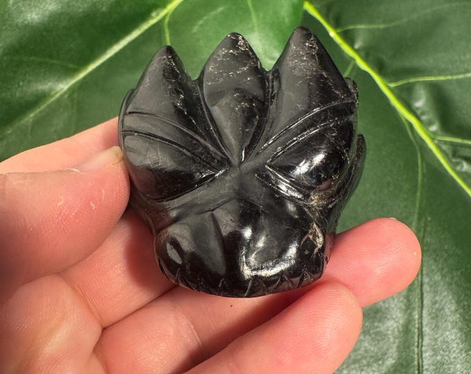 Black Tourmaline Leandro de Souza Dragon Palm Skull