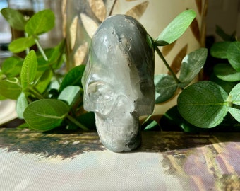 Amazing Grey Included Quartz Igor De Souza Crystal Standing Skull