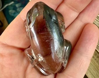 Sweet Lodolite Quartz Frog by Leandro De Souza