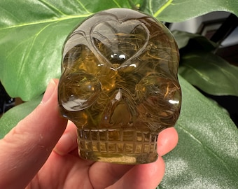 Leandro De Souza Smoky Golden Rutile Star Child Skull