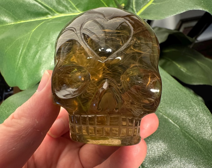 Leandro De Souza Smoky Golden Rutile Star Child Skull