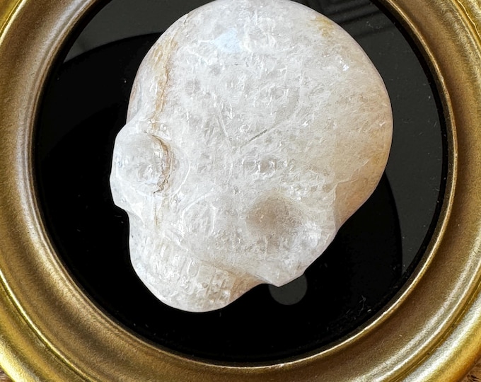 Sweet Leandro De Souza Morganite Palm Crystal Skull