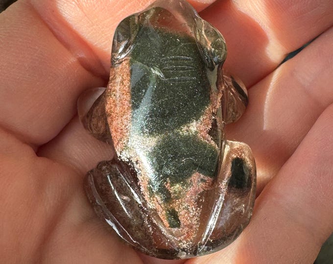 Sweet Lodolite Quartz Frog by Leandro De Souza