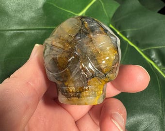 Leandro De Souza Tourmalinated Golden Healer Crystal Alien Skull