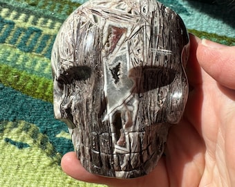 Leandro De Souza Jasper Palm Skull