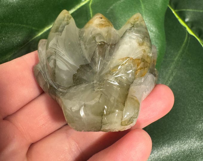 Chlorite in Quartz Leandro de Souza Dragon Palm Skull