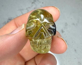 Igor De Souza Included Citrne Traveler Crystal Skull