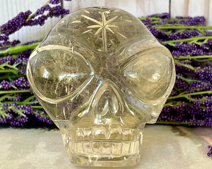 DO NOT BUY: Reserved for Karen--Sweet Citrine Golden Rutile Leandro De Souza Star Child Crystal Skull